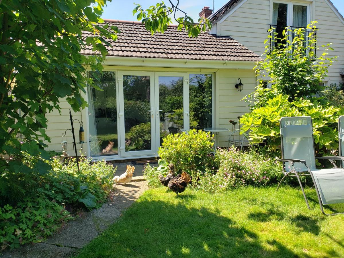 Luxury Self Catering With Cosy Cabin & Sauna In Colchester Exterior photo